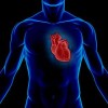 Hipertensiunea arterială