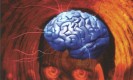 Marian Romanescu: USLA – ieșirea din transă
