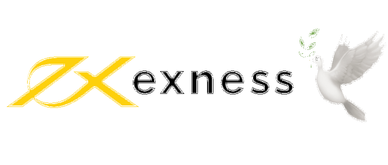 Take out cash from Exness: Instruc for withdraw cash