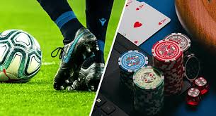 Exploring the Dynamics of Jaza Bet Your Ultimate Betting Destination
