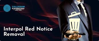 Experienced Lawyers Navigating the Legal Landscape with Expertise 370209610